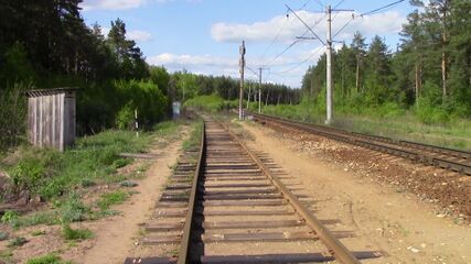 Вид на север. Электрифицированный путь справа - на Электрогорск, слева - в военную часть.