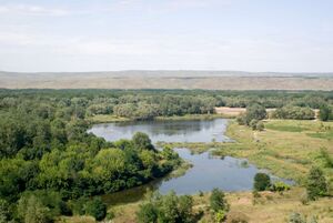 Kuban river In Uspenskaya area - panoramio.jpg