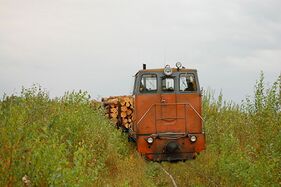 ТУ8, Архангельская область