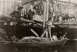 Рыбаки сортируют улов мольвы в деревне Моллосунд[en], Швеция. Фото из коллекции Музея северных стран