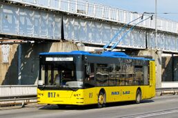 Большинство троллейбусов города модели ЛАЗ E183D1[69]