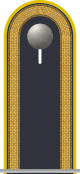 Dienstgradabzeichen auf der Schulterklappe der Jacke des Dienstanzuges für Luftwaffenuniformträger