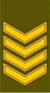 LT-Army-OR7a.gif