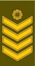 LT-Army-OR9.gif