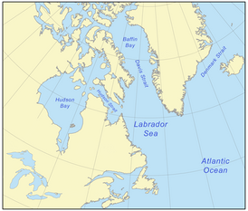 Море Лабрадор (между Гренландией и Канадой)