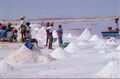 Плантация морской соли в Дакаре