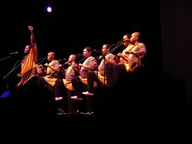 Ladysmith Black Mambazo на сцене, 2006 г.