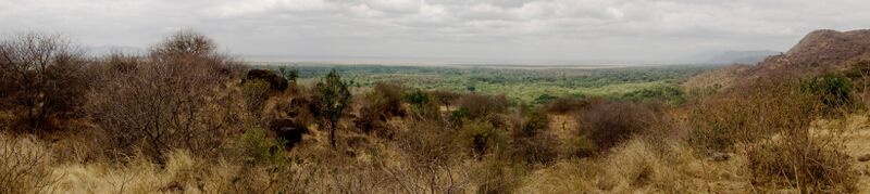 Lake Manyara panoramic.jpg