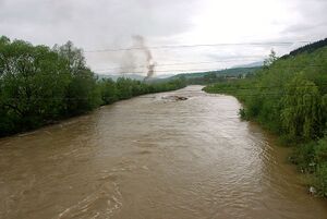 Вишеу в Леордине