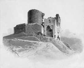 Вид на замок с севера (конец XIX - начало XX века)