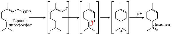 Биосинтез лимонена