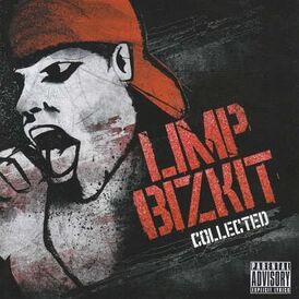 Обложка альбома Limp Bizkit «Collected» (2008)