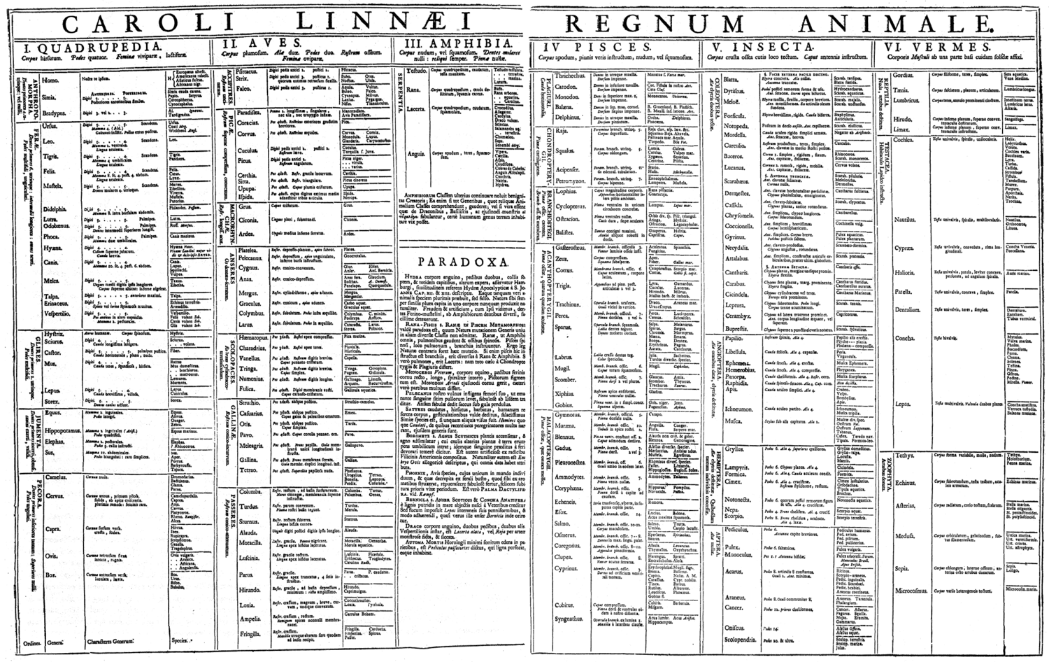 Таблица Царства животных из первого издания Systema Naturae (1735)