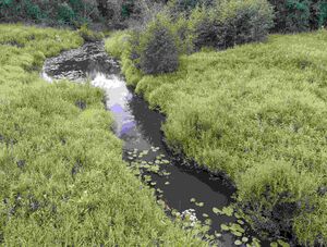 Река в урочище Спасском