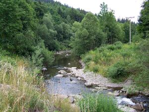Река Ломна на территории общины Дольни-Ломна летом 2008 года.