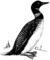 Loon (PSF).png
