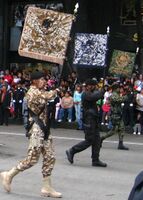 Мексиканские морские пехотинцы на параде в честь Дня независимости Мексики в 2009 году демонстрируют три различных камуфляжных рисунка, используемых морской пехотой