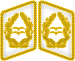 Luftwaffe collar tabs Generalleutnant 3D.svg