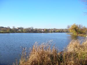 Пруд в городе Липовец