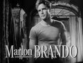 Marlon Brando in 'Streetcar named Desire' trailer.jpg