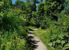 Max-Aschmann Park - panoramio.jpg