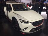 CX-3 Racing Concept