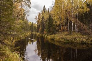 Мехреньга около Елсозера в сентябре 2015 года