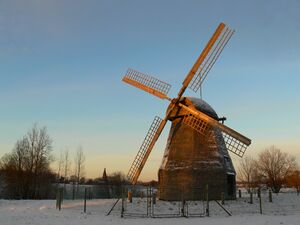 Мельница начала XX века из деревни Ладощина Солецкого района