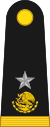 Mexico army OF6.svg