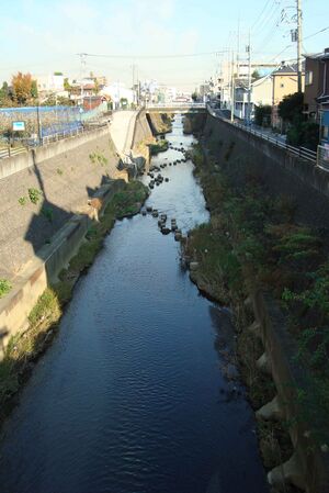 Река в городе Кавасаки