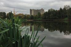 Moscow, Dzhamgarovsky Ponds (31556365862).jpg