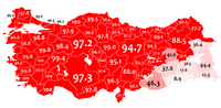 Доля жителей, для которых родным языком является турецкий, по илам.