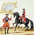 Знаменосец серых мушкетеров и черный мушкетёр 1745