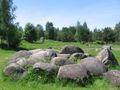 Museum of boulders, Minsk1.JPG