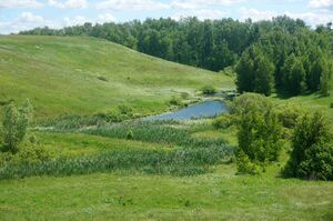 В районе деревни Пески