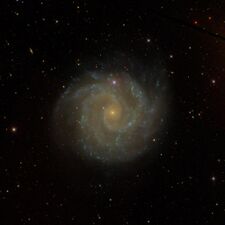 NGC 3184 (Sc)