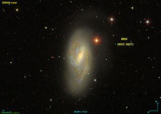 M 66 (SAB)