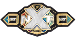 Дизайн чемпионского пояса NXT с боковыми пластинами по умолчанию (с 2022)