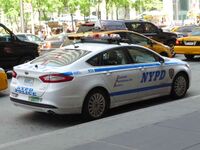Один из автомобилей полиции: Ford Fusion 2015 года выпуска.