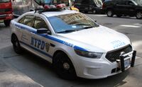 Один из автомобилей полиции: Ford Taurus 2016 года выпуска.