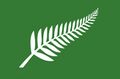 Silver Fern (Green) by Roger Clarke