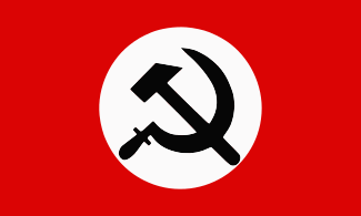 Флаг Национал-большевистской партии