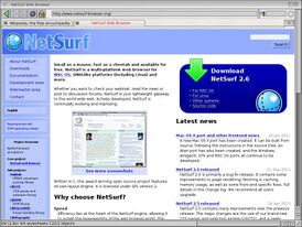 Скриншот программы NetSurf