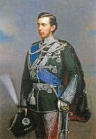 Портрет великого князя Николая Александровича, 1878 г. (ХУ)