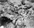 Тела мёртвых рабочих в концлагере Дора