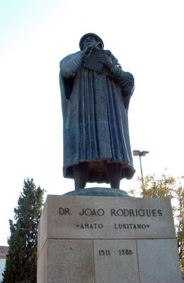Памятник в Каштелу-Бранку