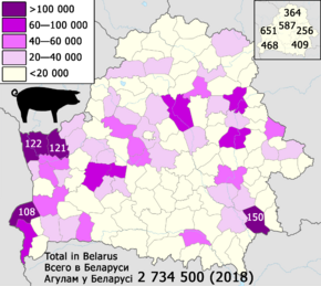 Number of pigs in Belarus — Пагалоўе свіней у Беларусі — Поголовье свиней в Беларуси (2018).png