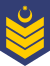 OR-6 AZE AIR FORCE.svg
