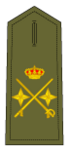 General de División