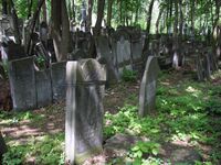 Еврейское кладбище Варшавы